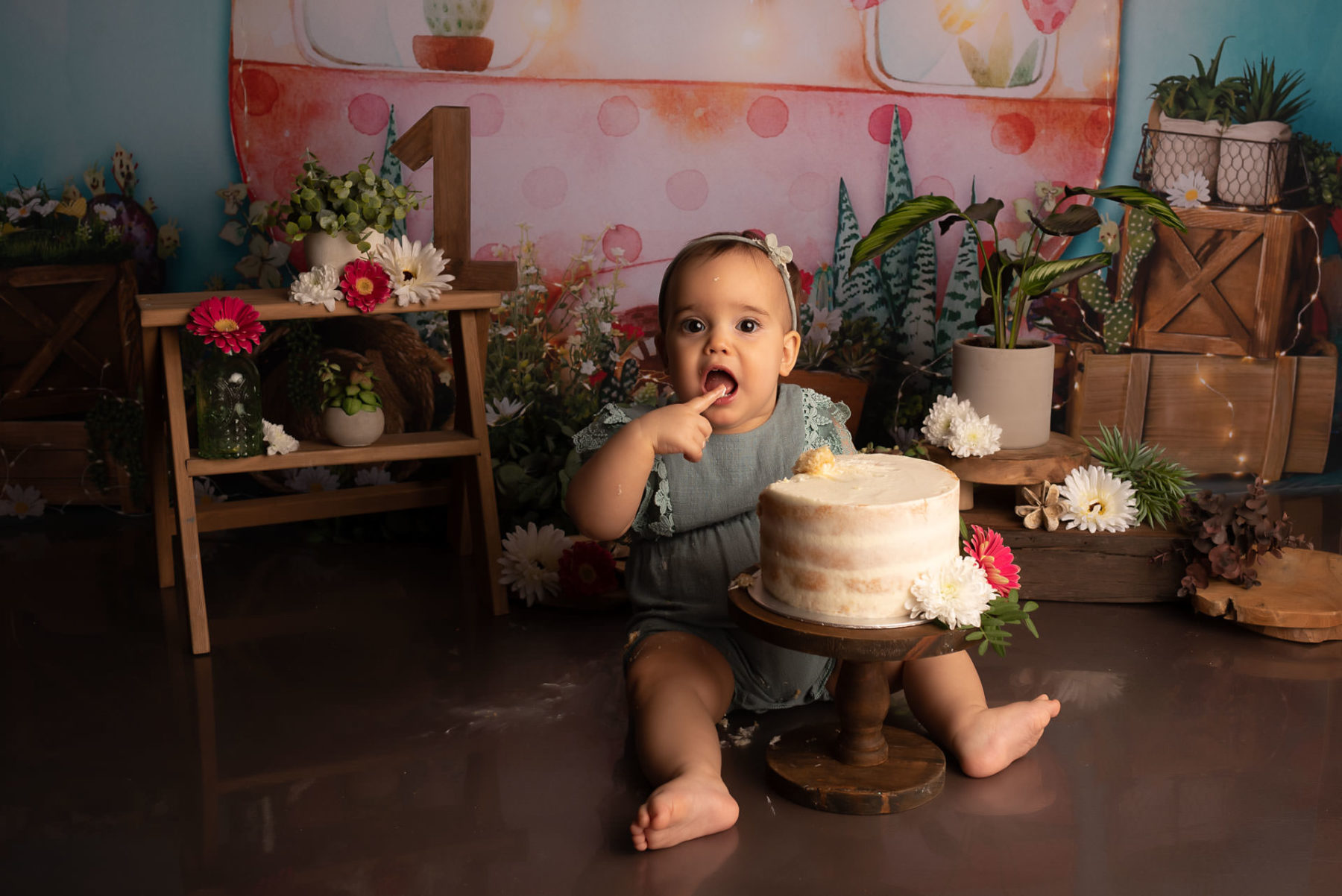 version web-11 (2)